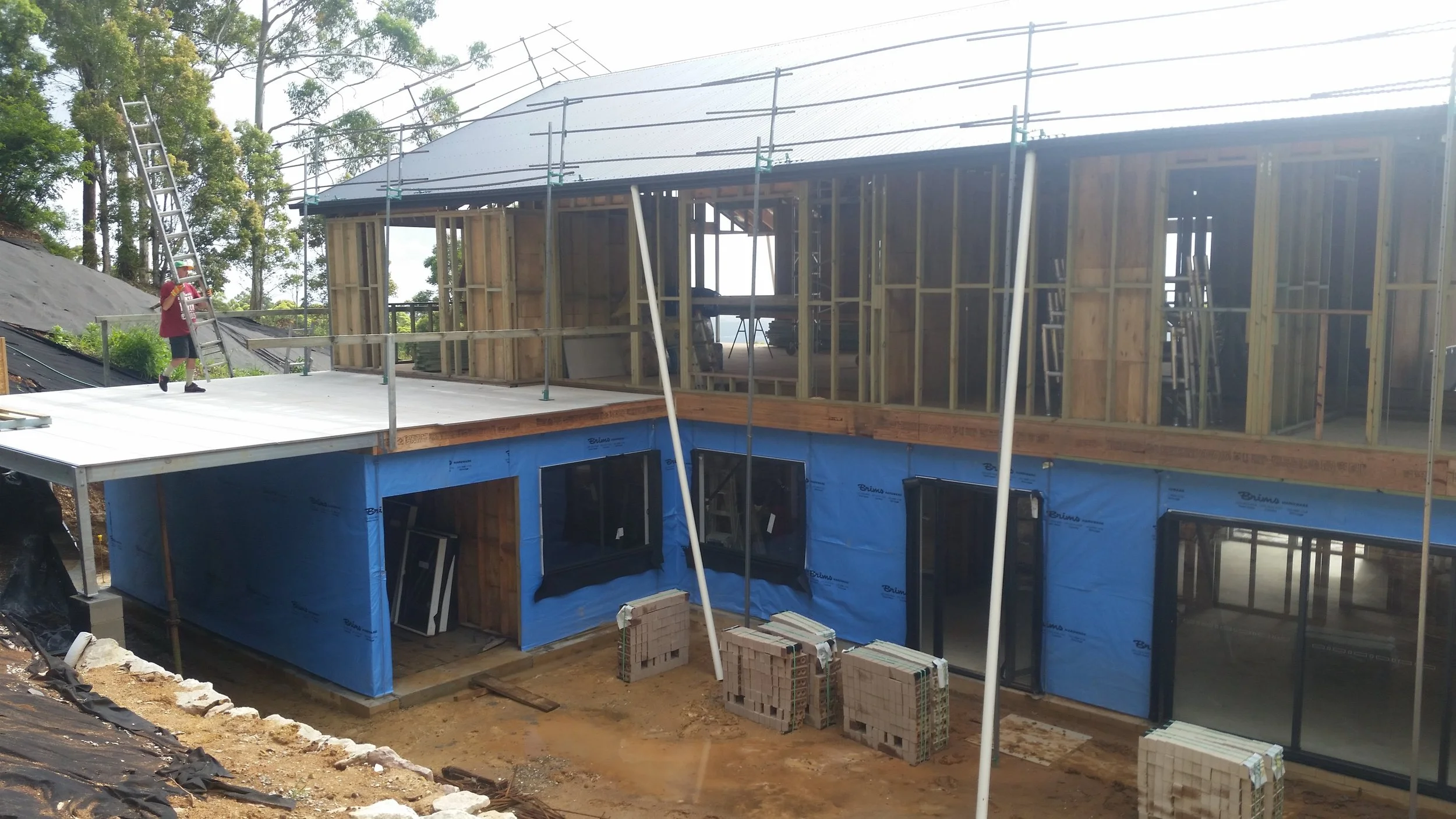 Pole Scaff 2.jpg