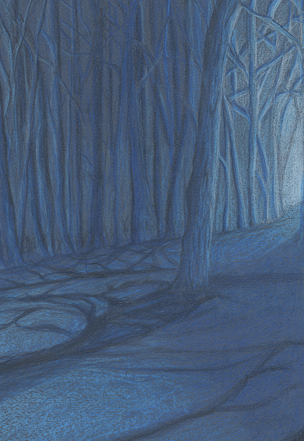 foresthero.png