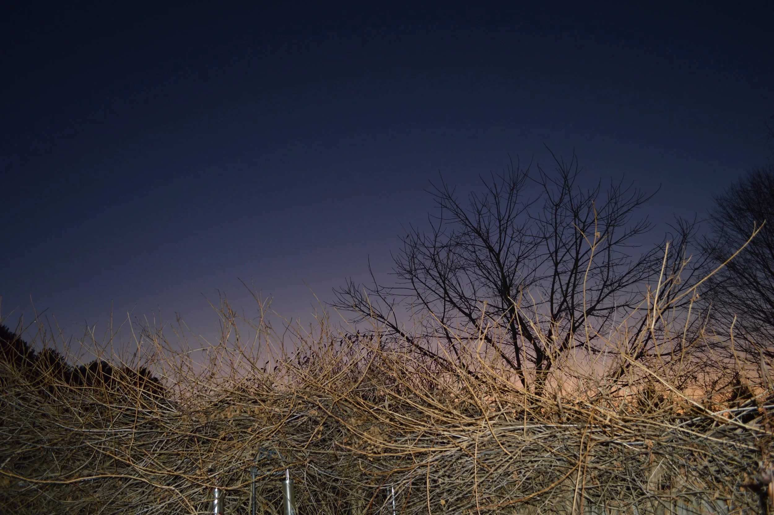 DSC_0012 - Copy.JPG