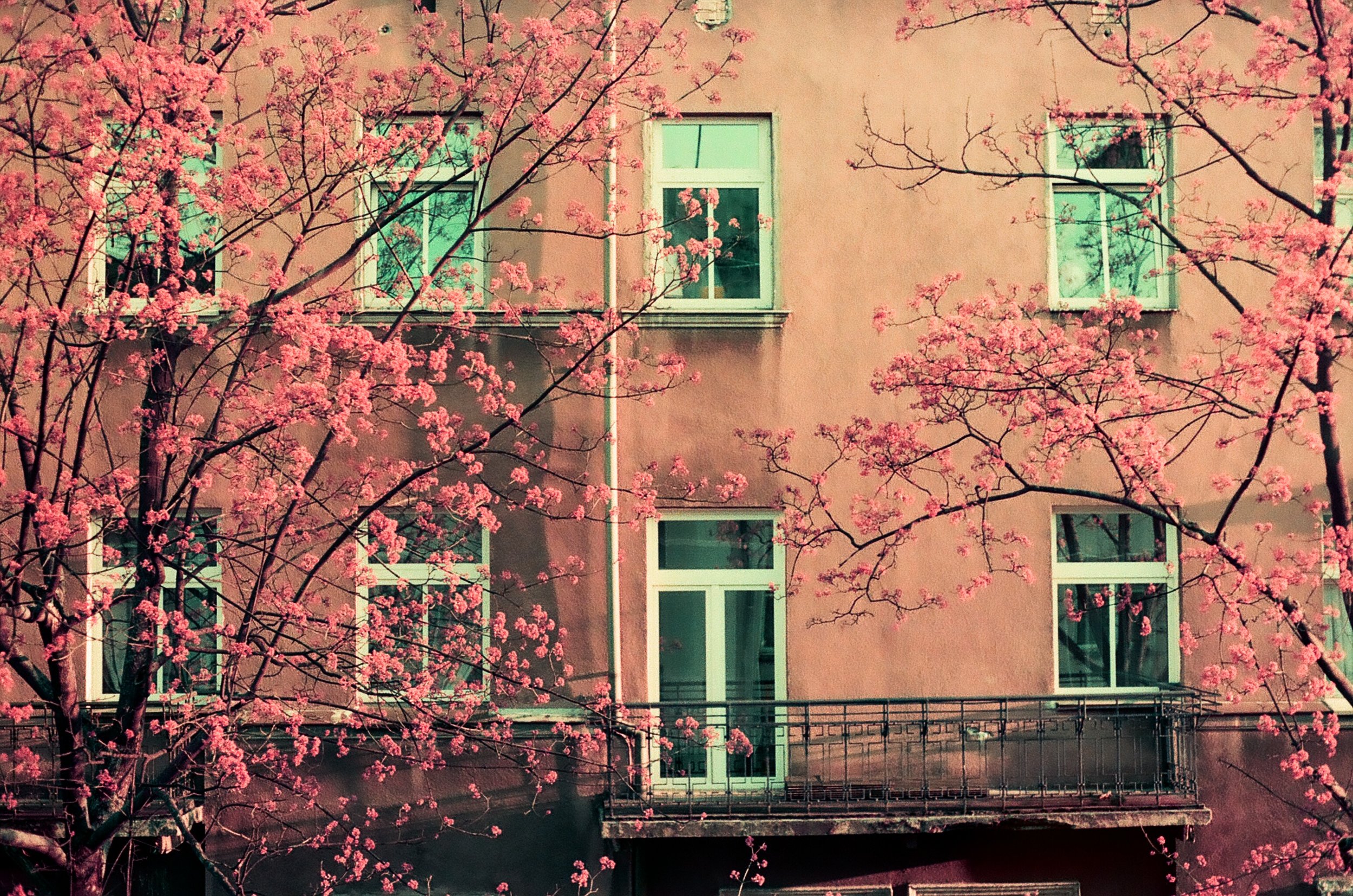 spring on Rekawka