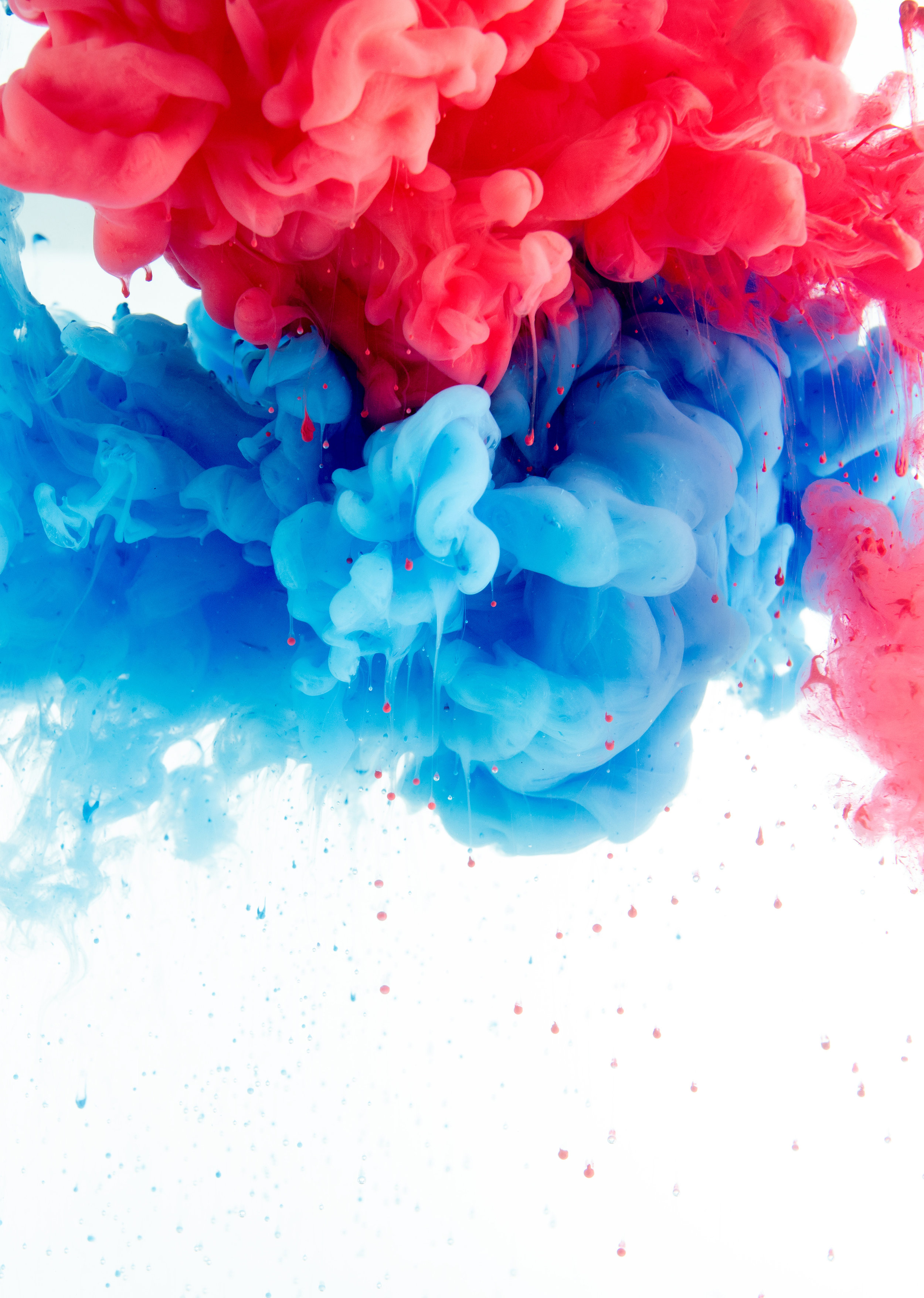 AdobeStock_153999006.jpeg