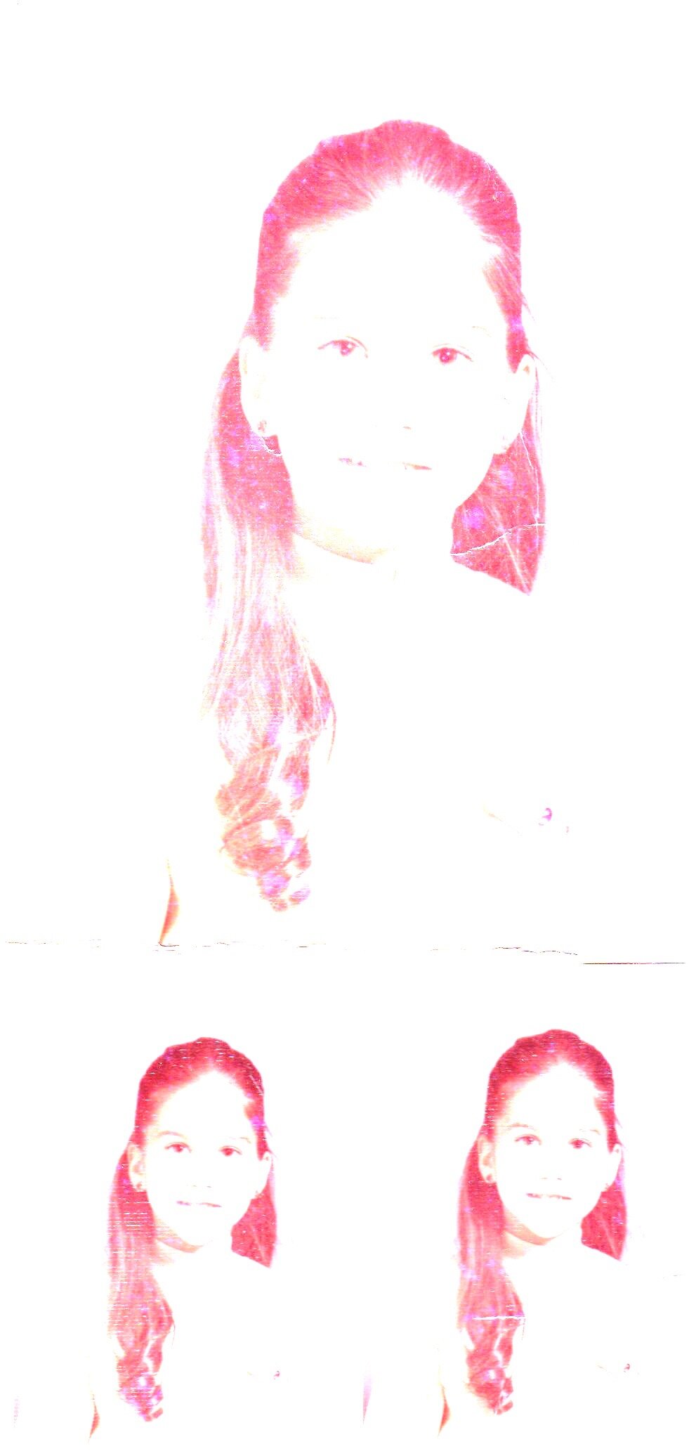 forest, river, mountain