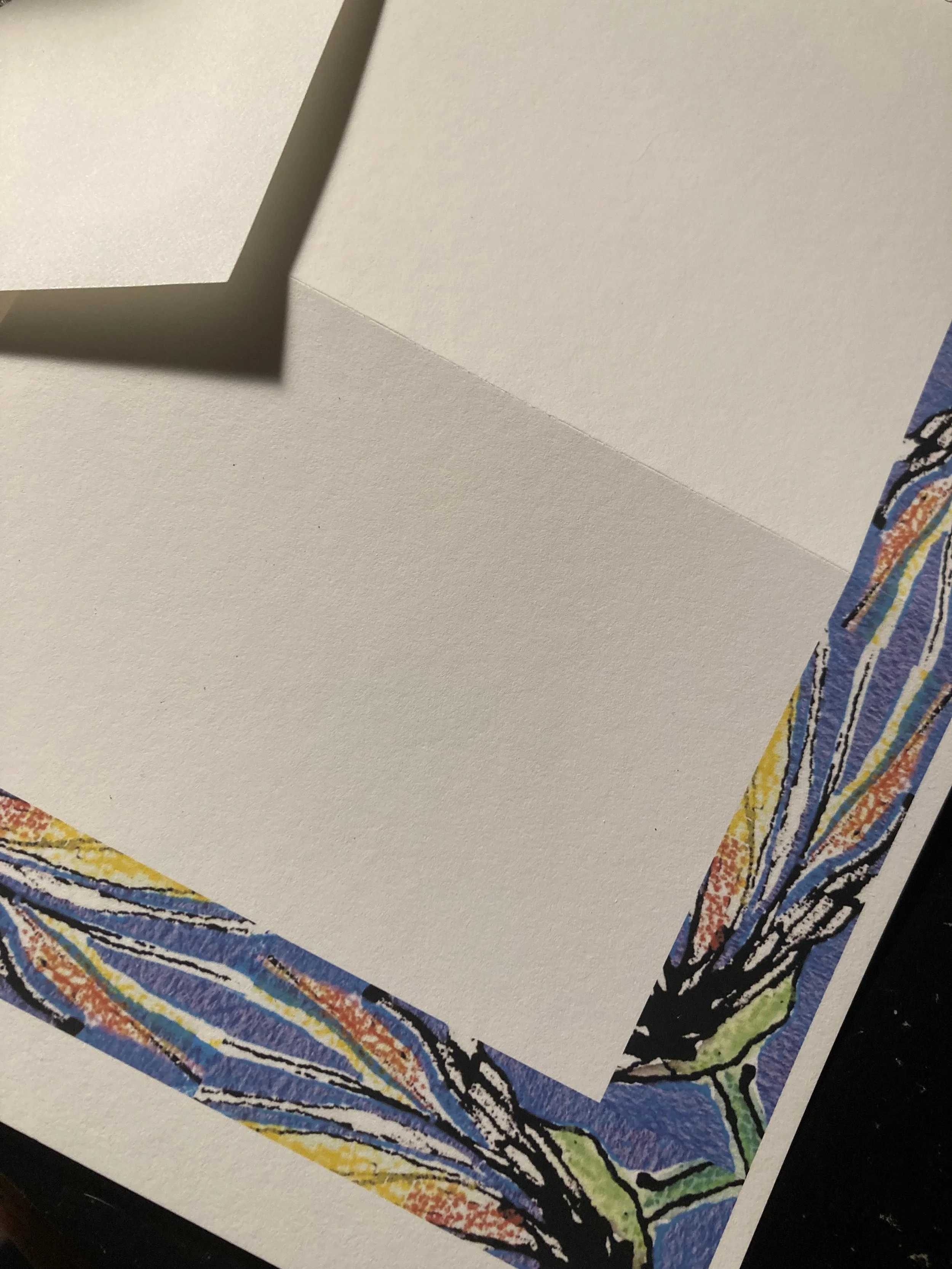 Crysanthemum Border.jpeg