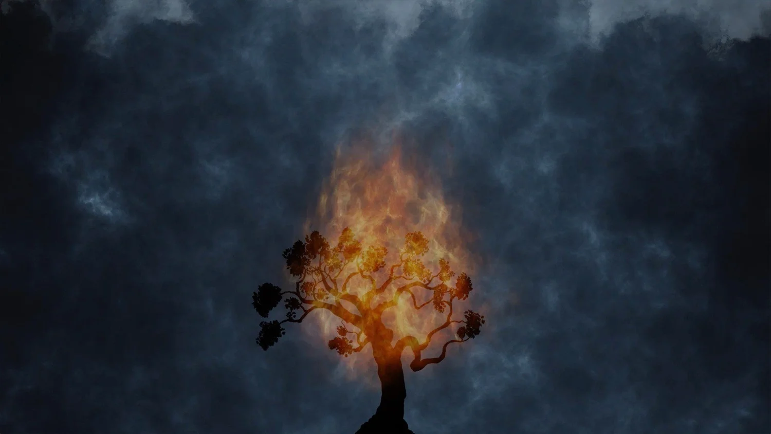 The Name episode artwork