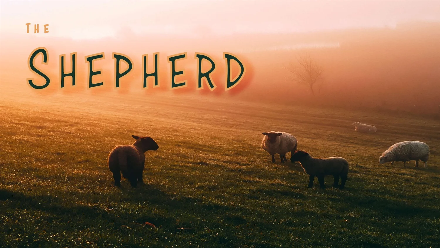 The Shepherd episode artwork