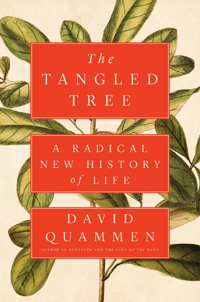 JBY tangledTree400.jpg
