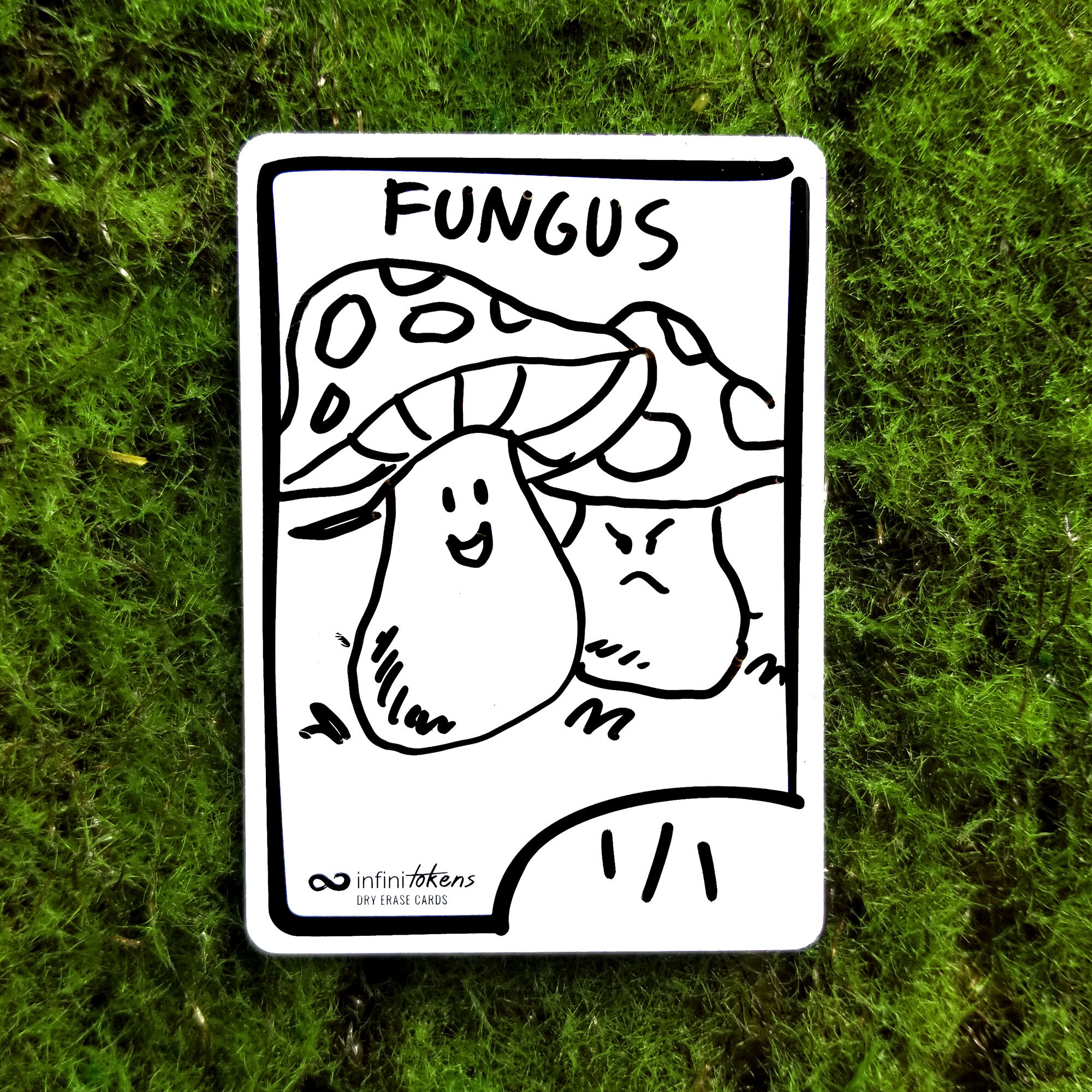 Day 1 - Fungus