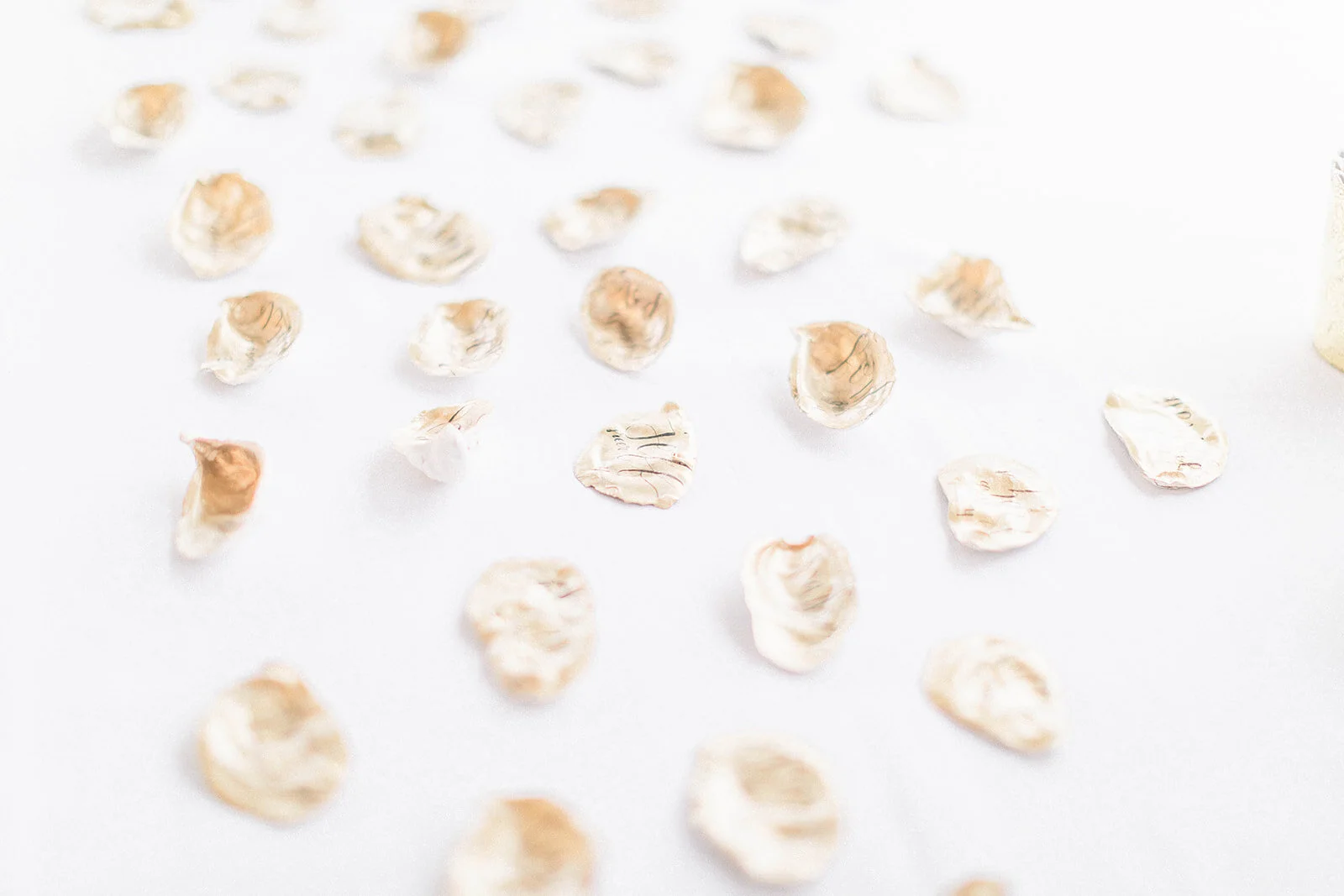 Ceremony-2138_websize (1).jpg