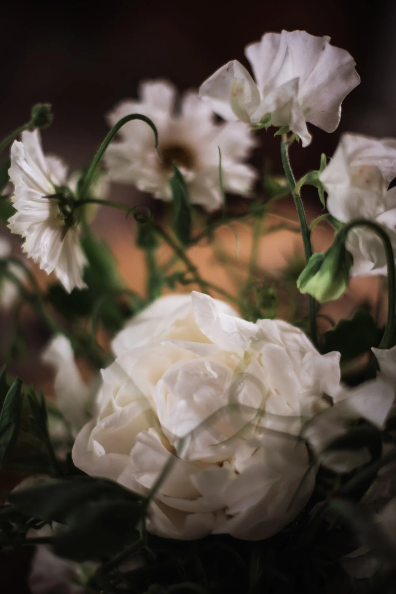 Maxted_Ceremony_2020_002 - Edited.jpg