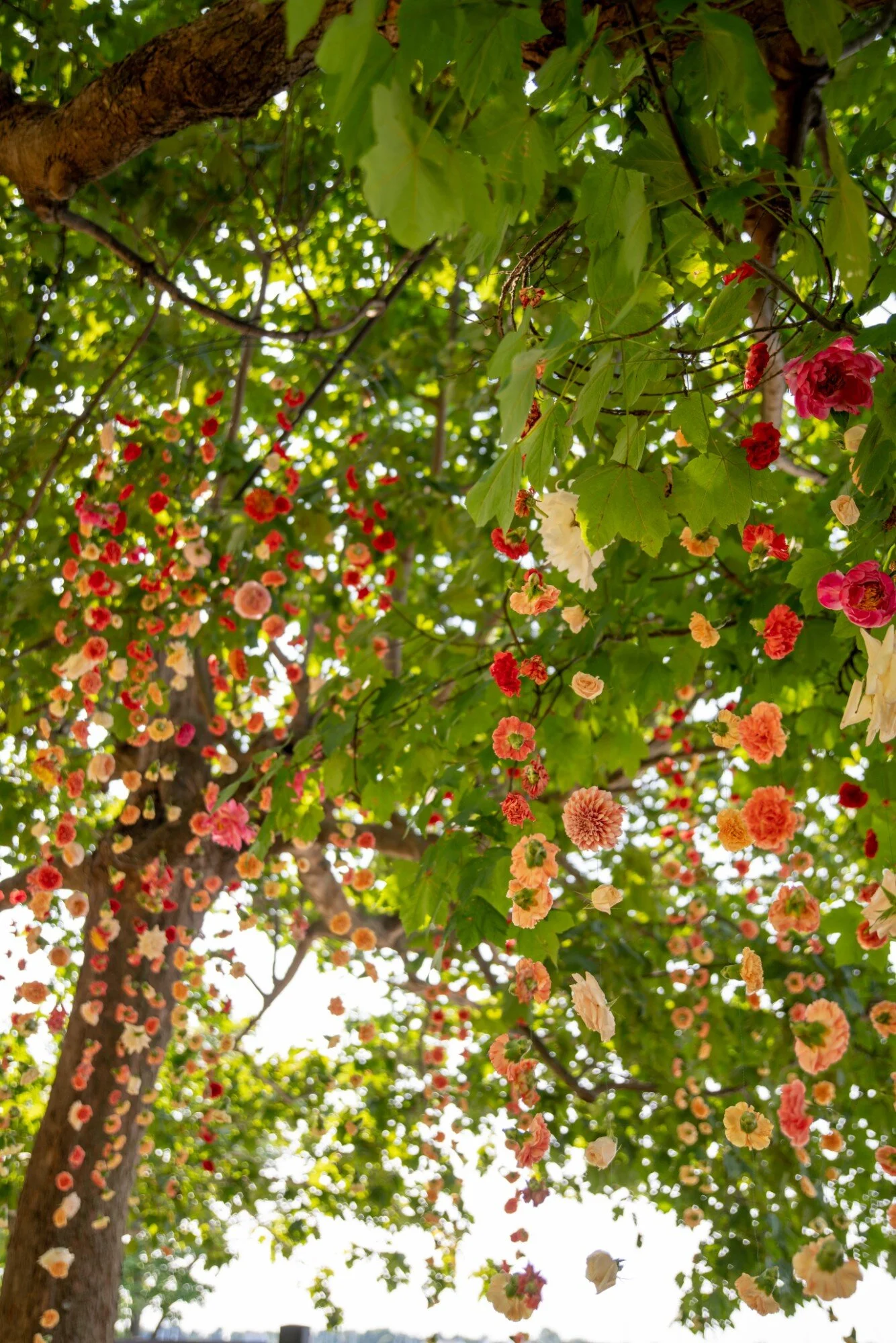 SophieHunterWedding_-1021 - Edited.jpg