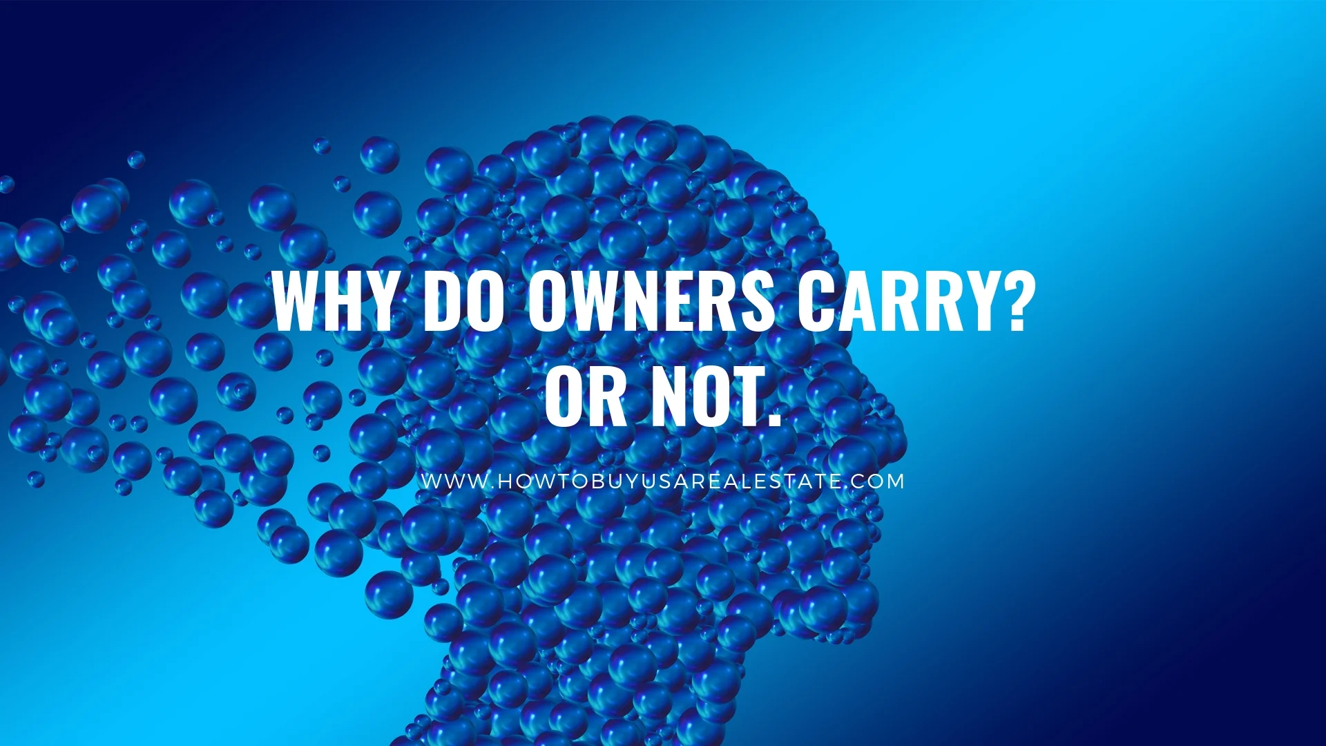owner carry.jpg