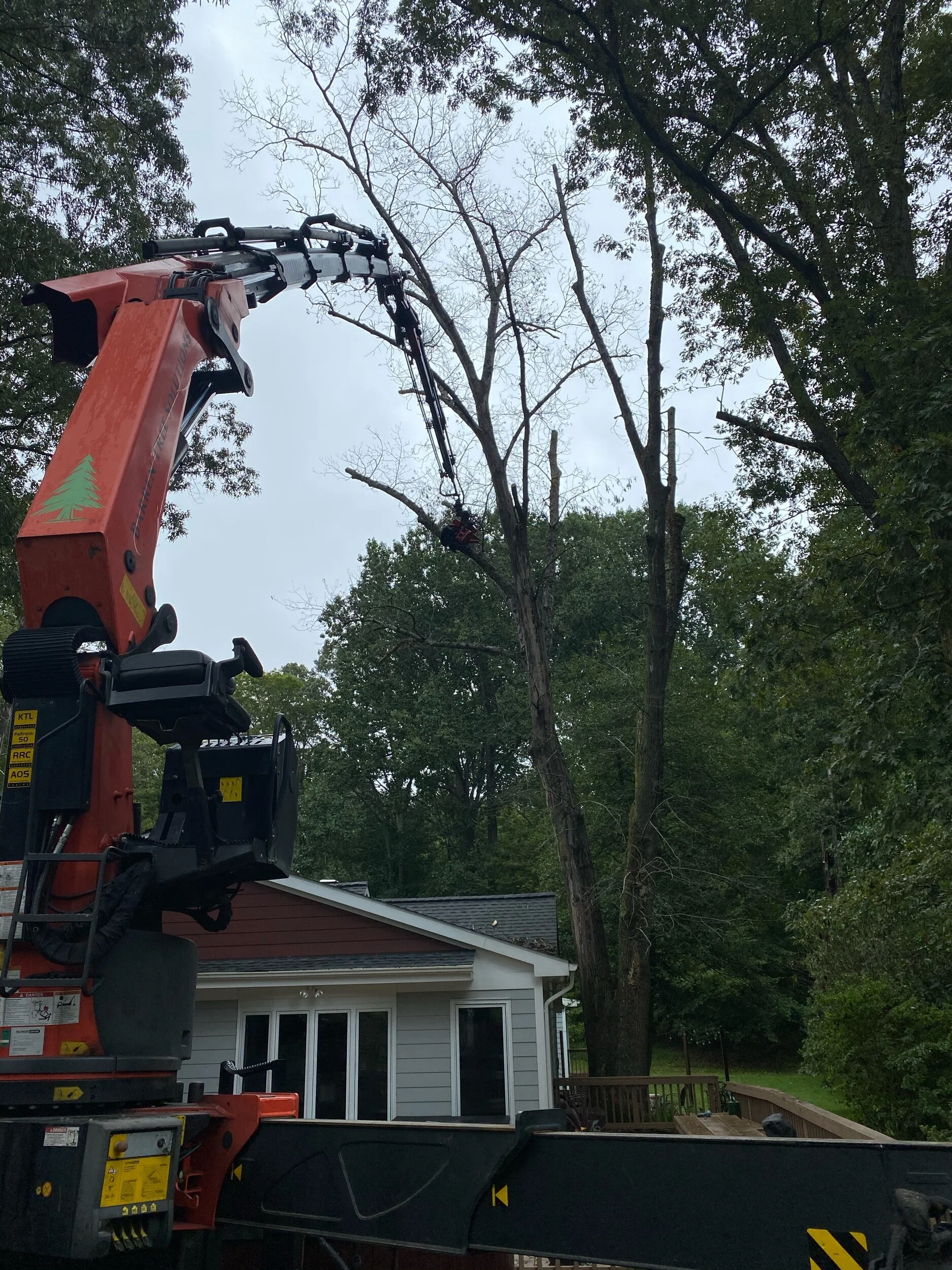 News — Pin Oak Tree Services
