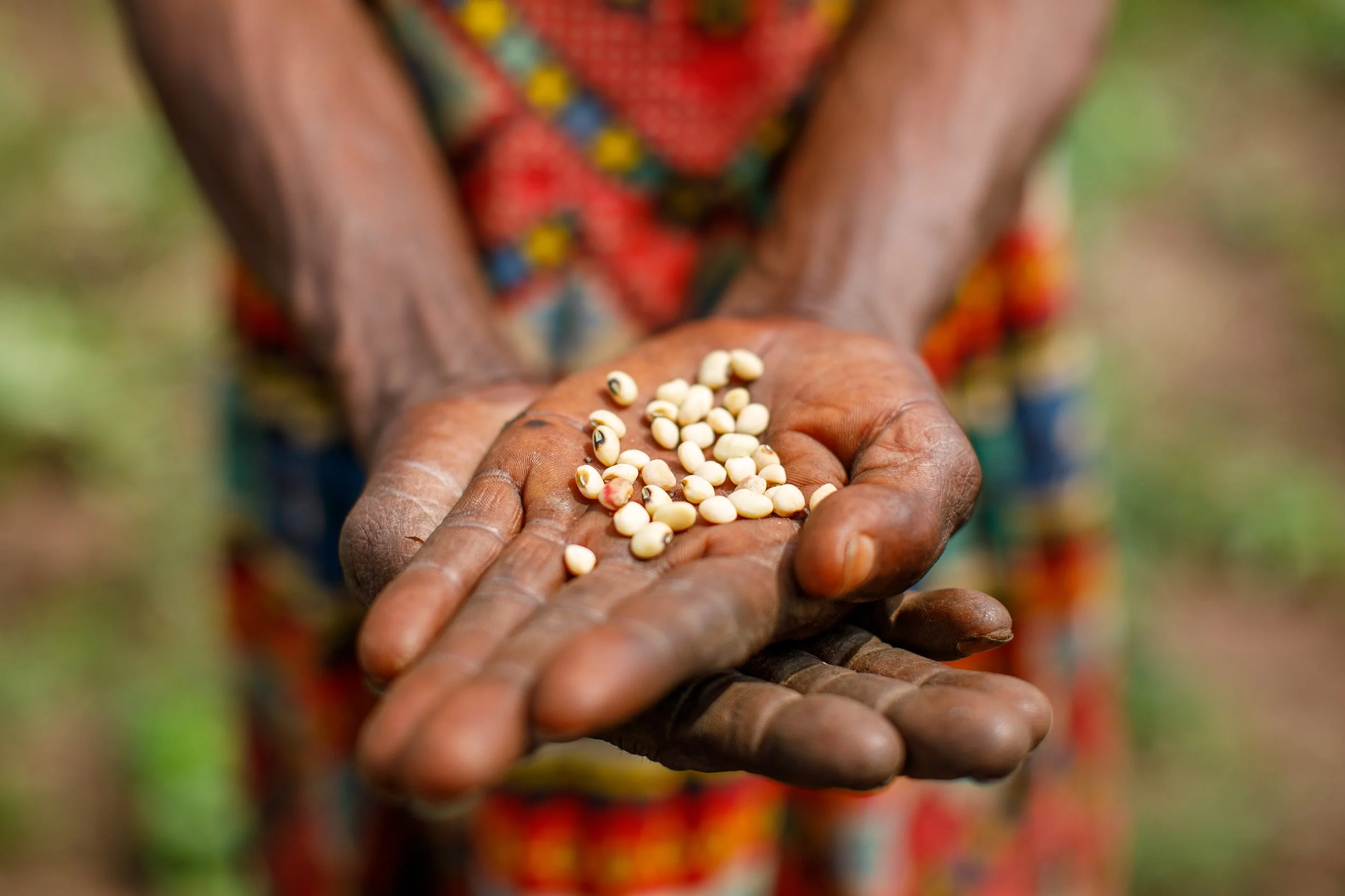 DRC-Sustainable Farming-Women Farmers-263.jpg