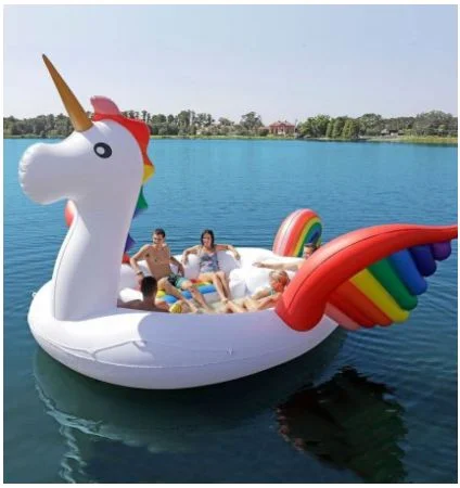 341030cc-unicorn-floater-social.jpg