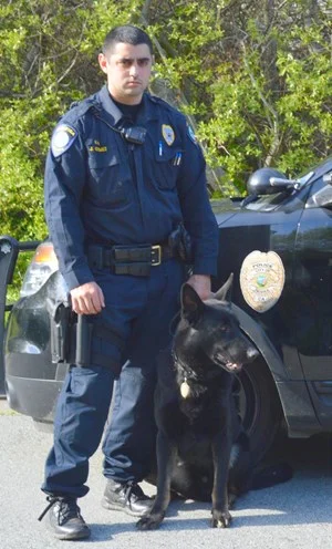 You Tube hero with dog.jpg