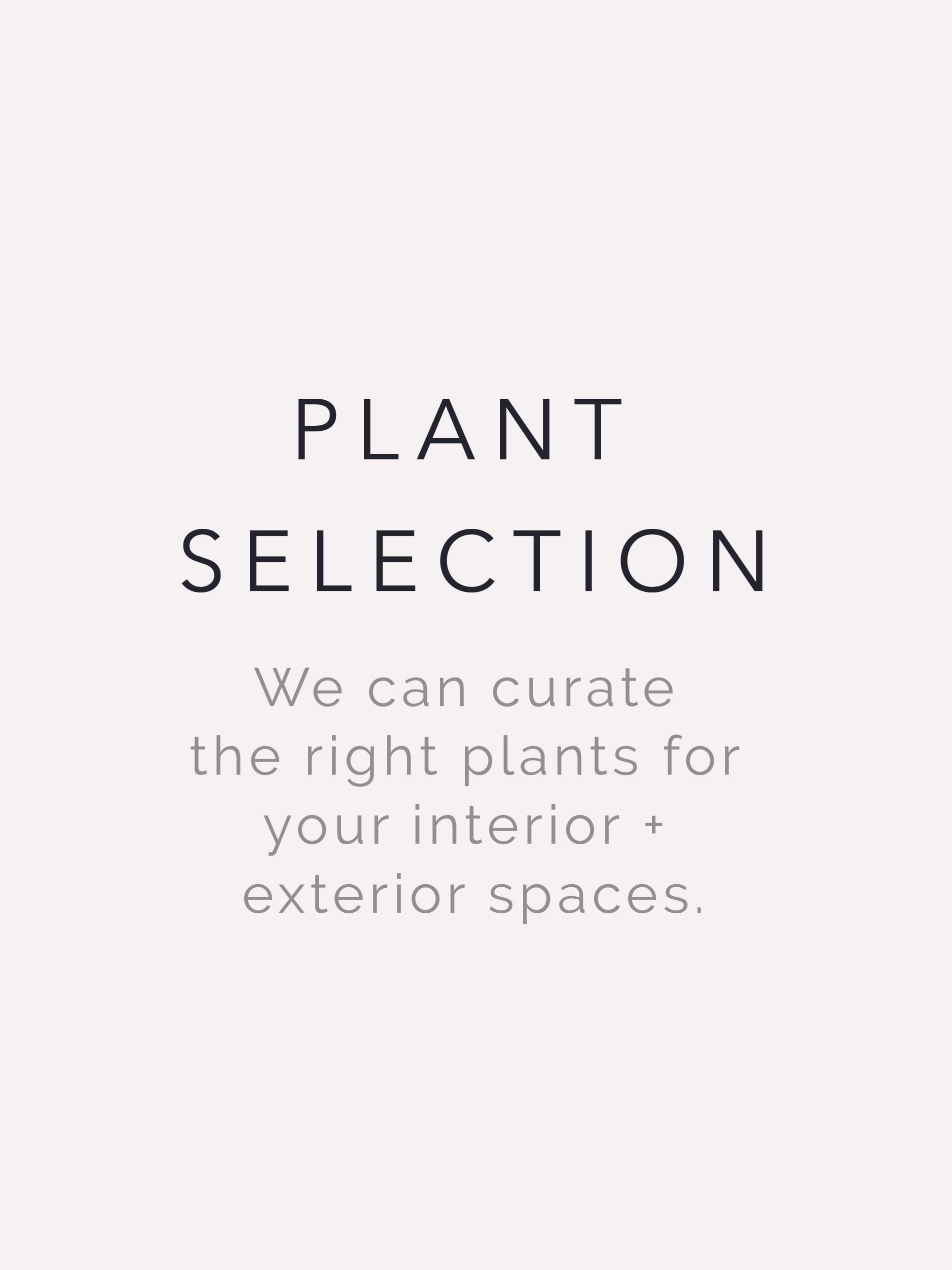 plant selection.jpg