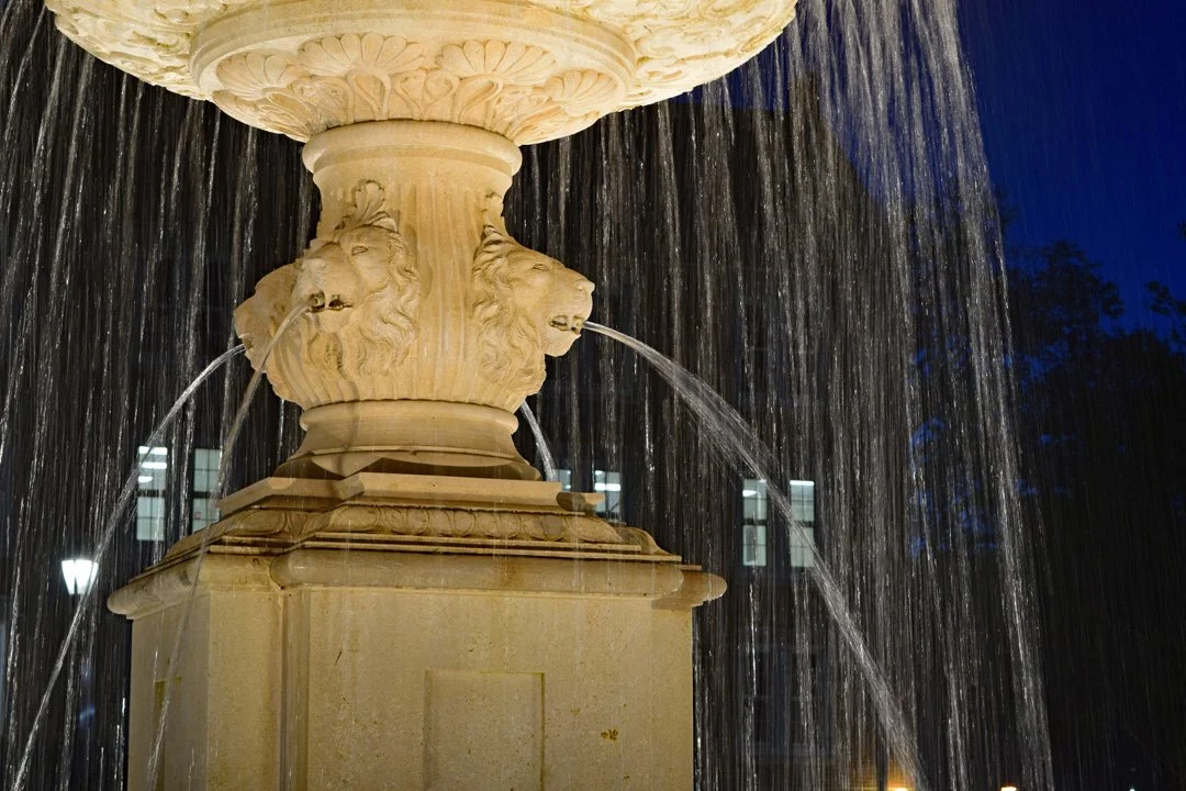 Lion's Breath4720.jpg