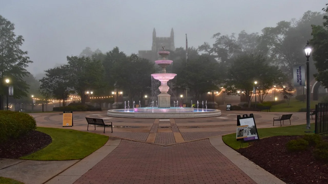Foggy Morning by Harrison Plaza1720.jpg