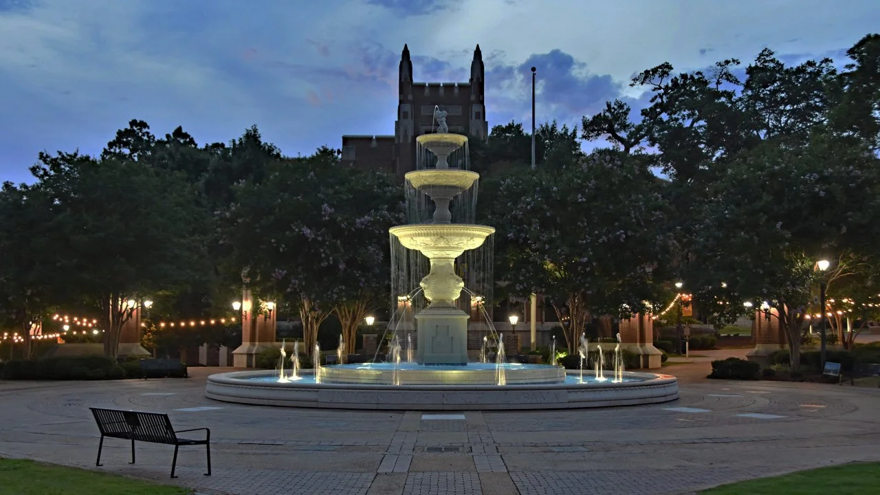 Night Lights by Harrison Plaza20720.jpg