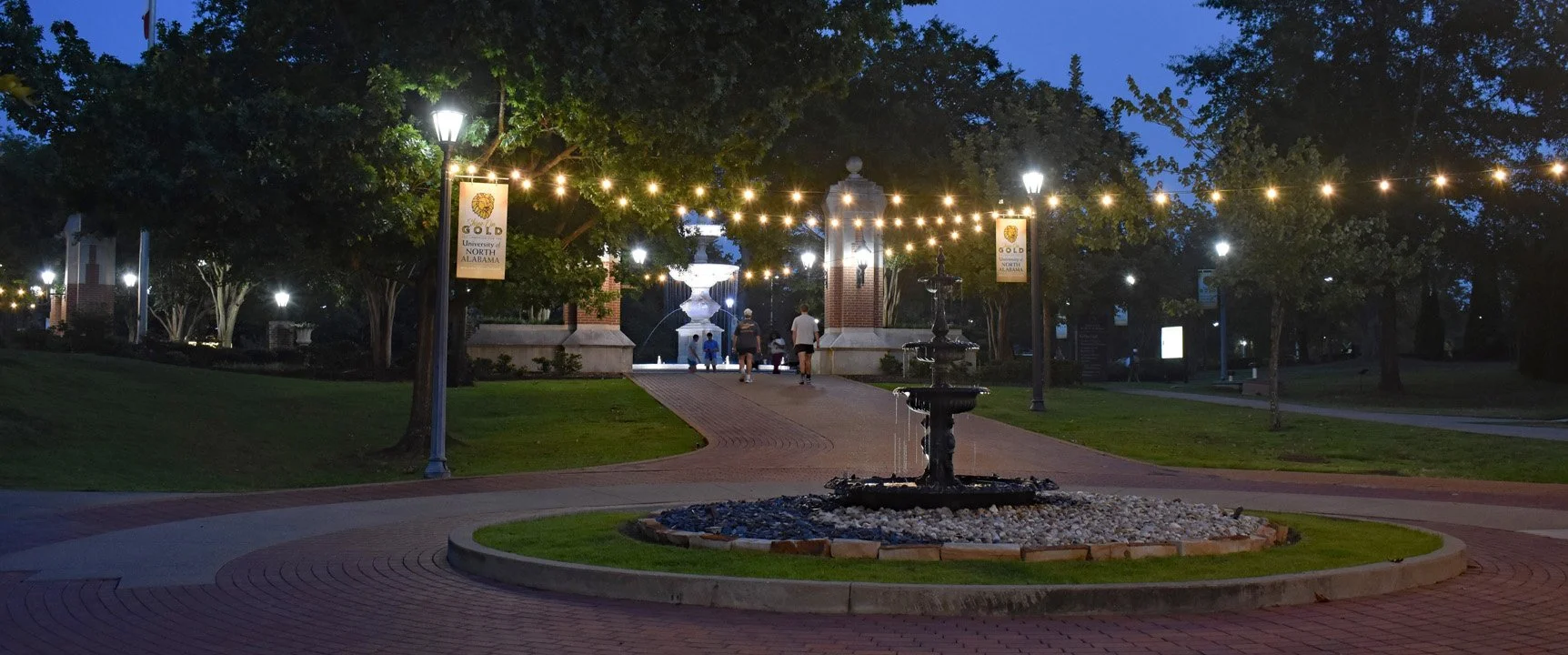 Walking Campus at Night6720.jpg