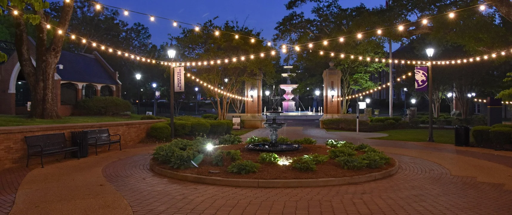 Walking Campus at Night9720.jpg
