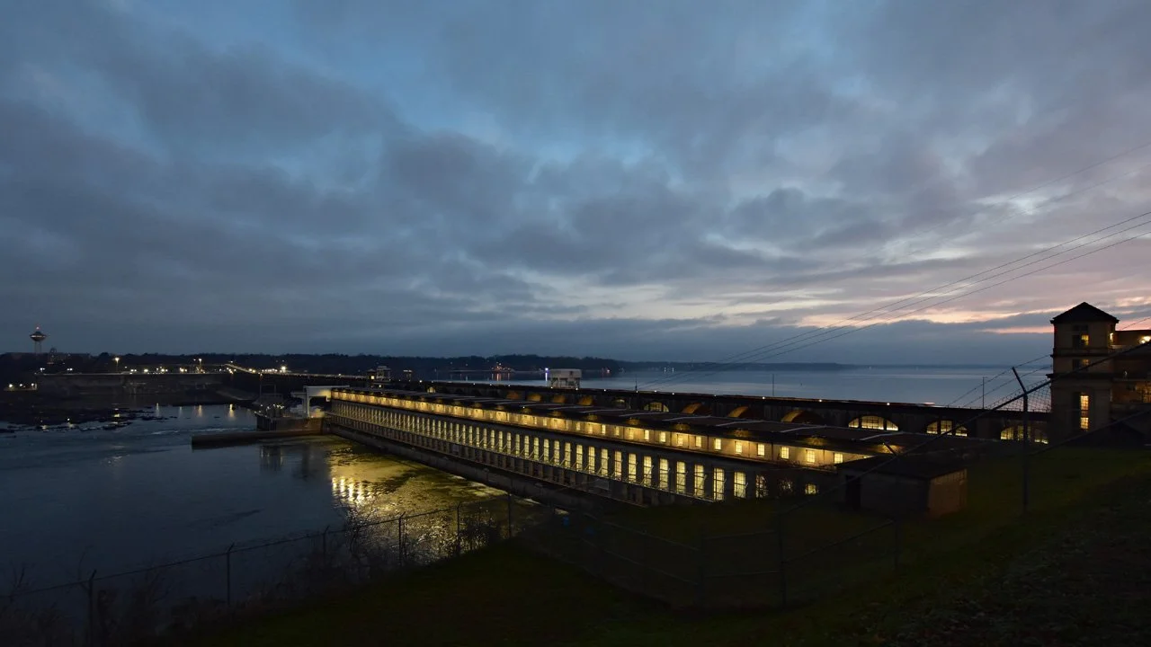 Dawn by the Damnew720.jpg