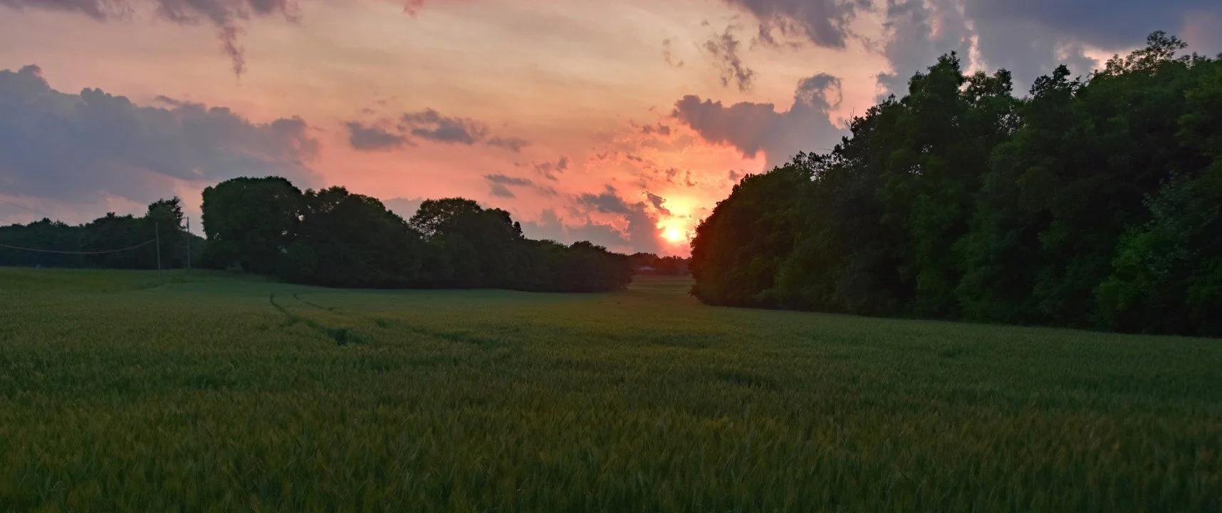 Wheat Field Sunset by the Farm15720.jpg