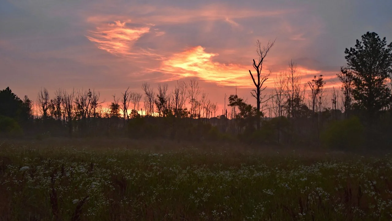 Wetland Sunrise on the Farm5720.jpg