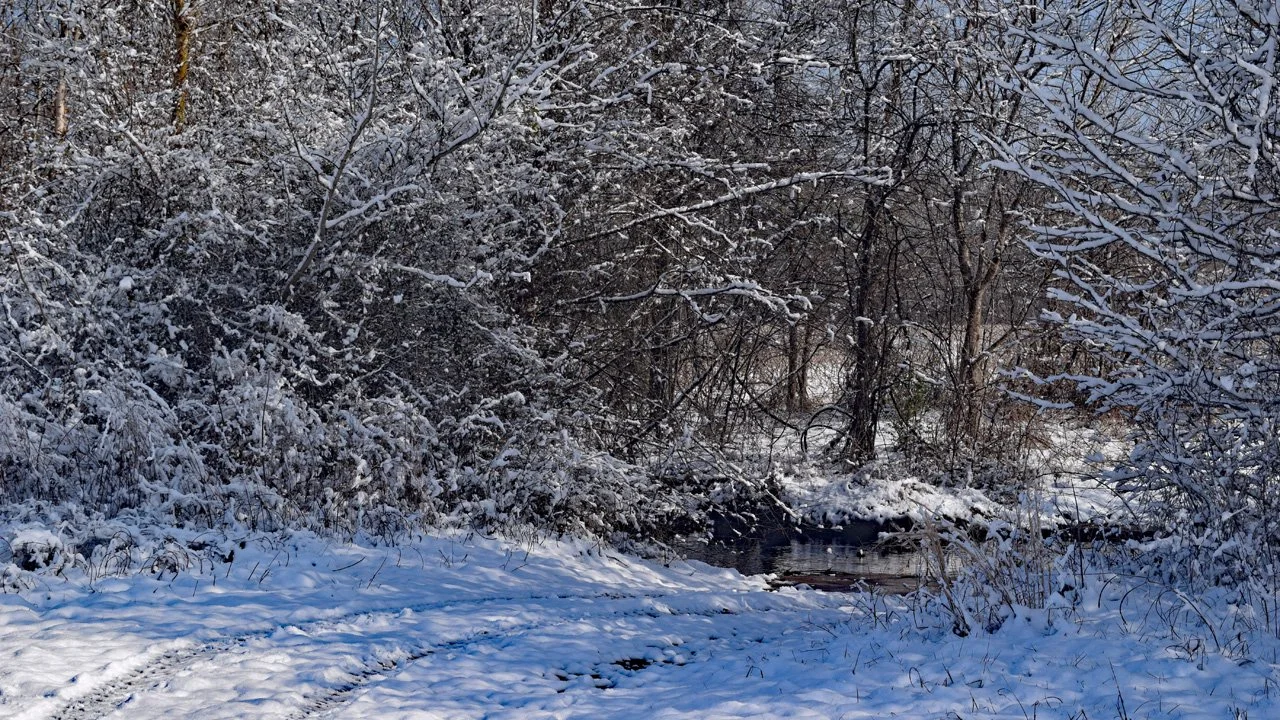 Vintage Winter1720.jpg