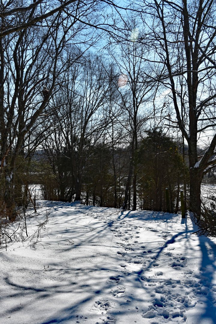 Forgotten Footsteps2720.jpg
