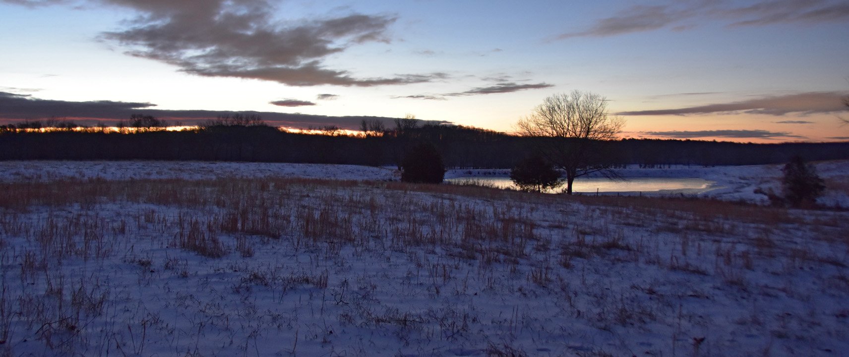 A Winter's Morning by the Farm7720.jpg