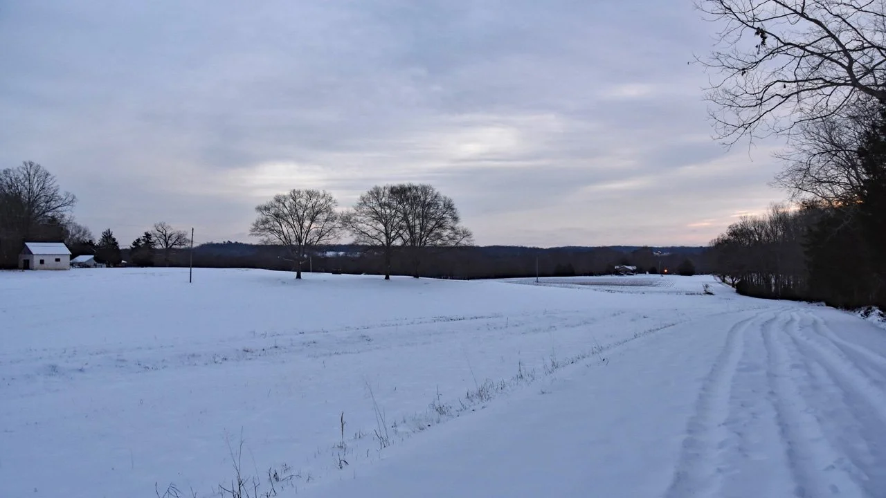 Morning after the Snow2720.jpg