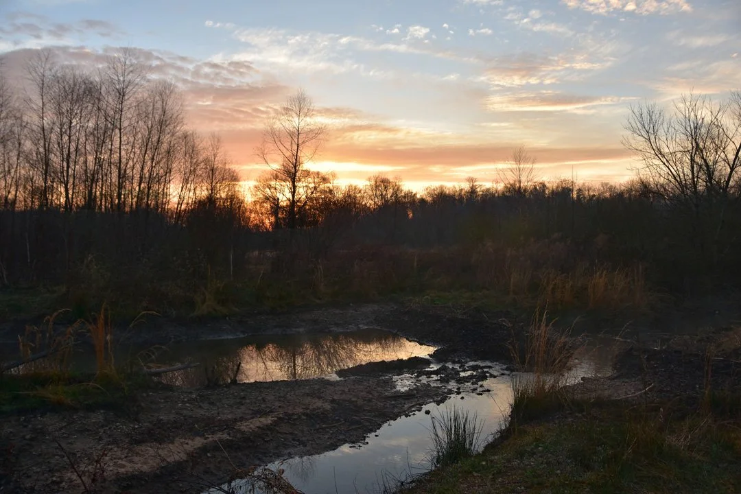 Marshy Morning3720.jpg