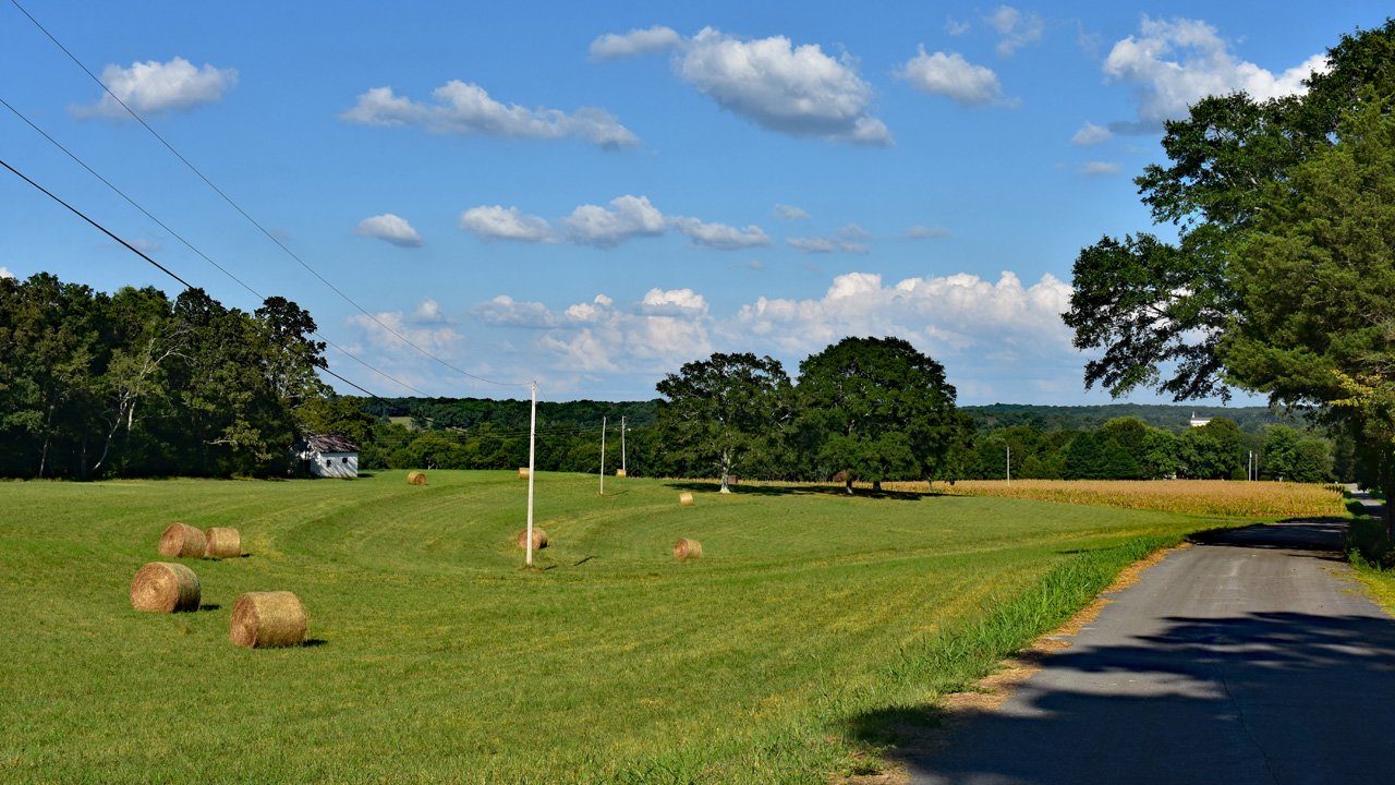 Field with Bales of Hay2720.jpg