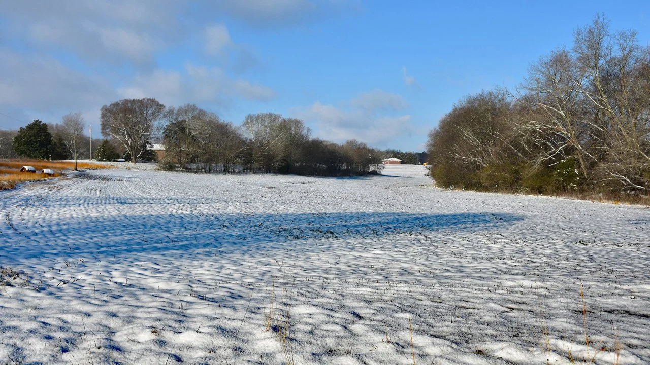 Morning Snow on the Farm720.jpg