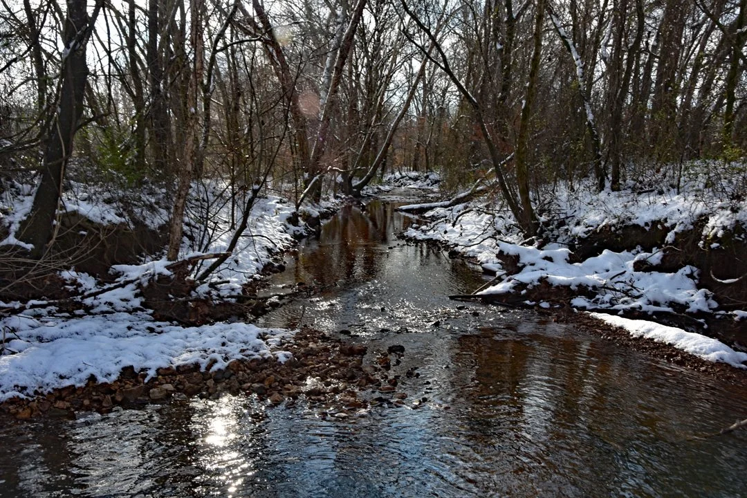 Quiet Winter Creek4720.jpg