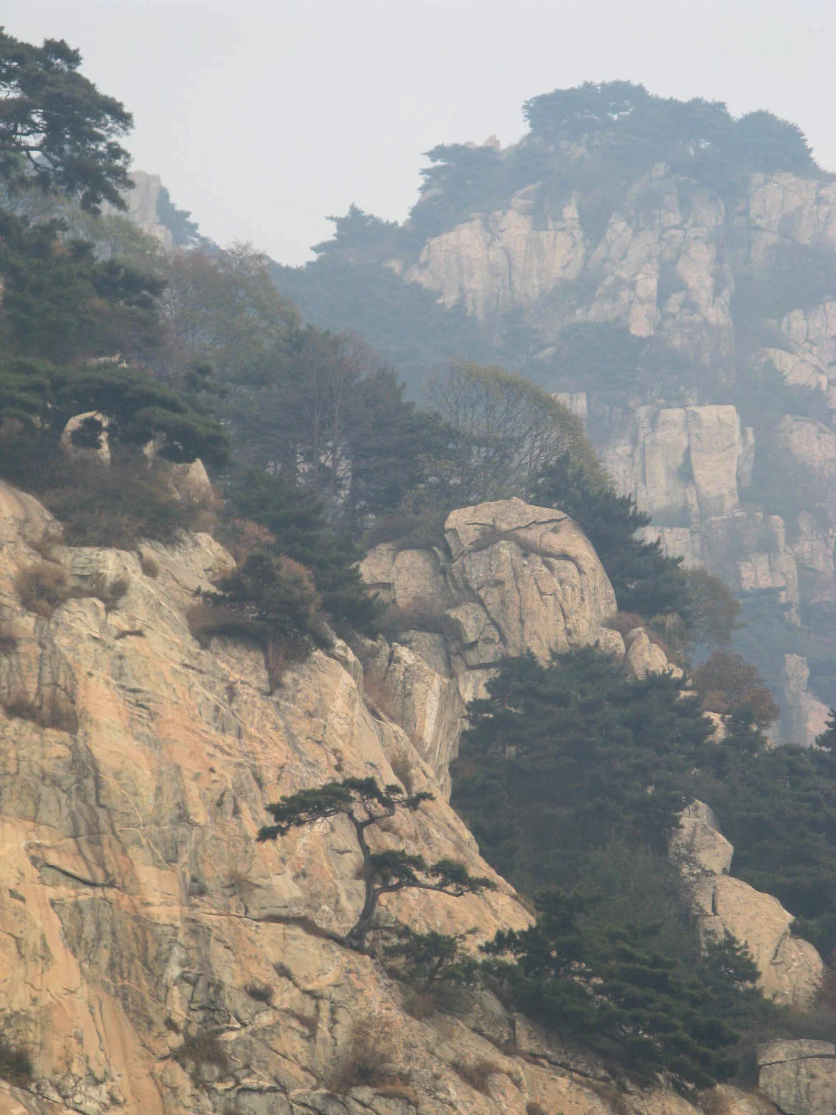 Thoughts on Writing Snow Wolf