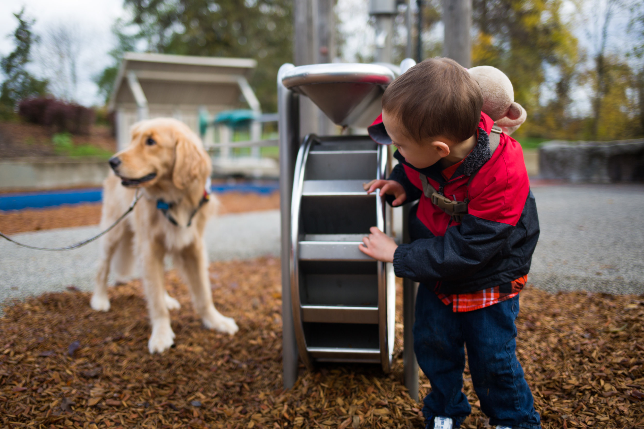  James peaks around a play structure to check on his service dog and friend Dave. The pair stick next to each other wherever they go. 