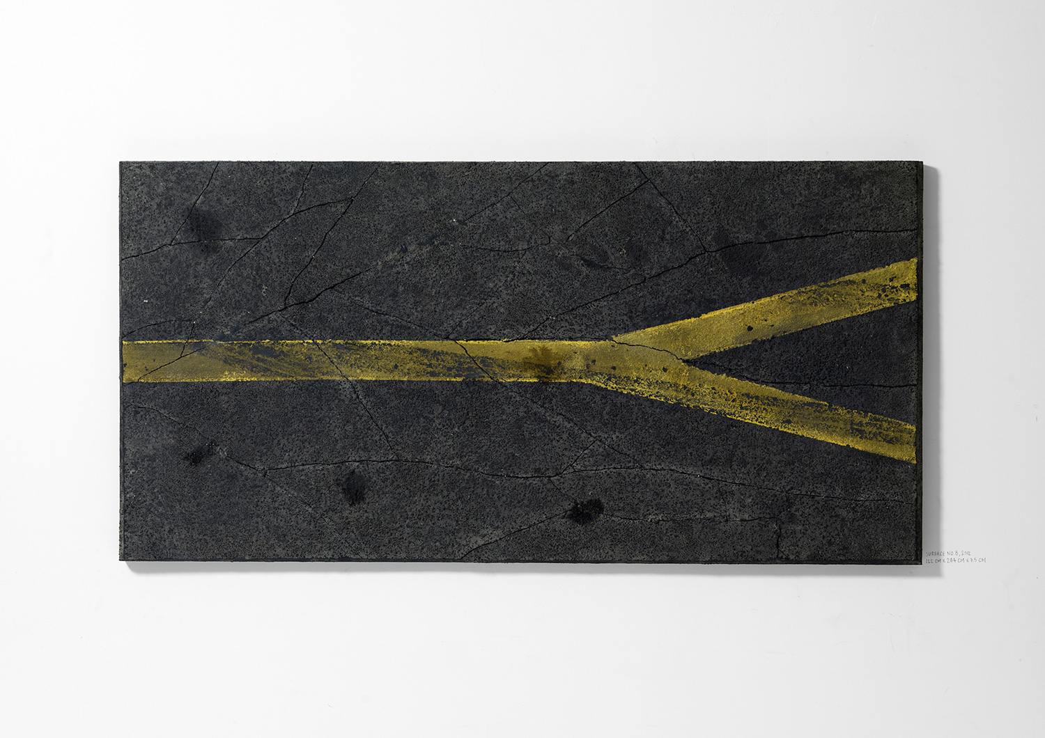   Surface No. 8 , 2012  122 cm x 244 cm x 7.5 cm 