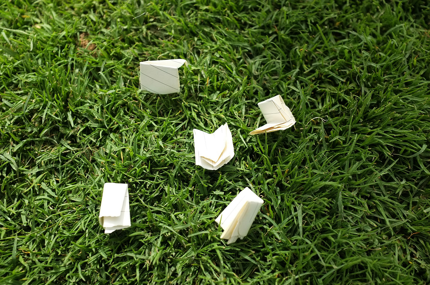  The ‘Lucky draw’ chits register an incident  where in the gardeners rejected the alphabetical order of their names in English deciding whose design is implemented first on the hedge. Instead, they implemented the random system of a lucky draw to dec