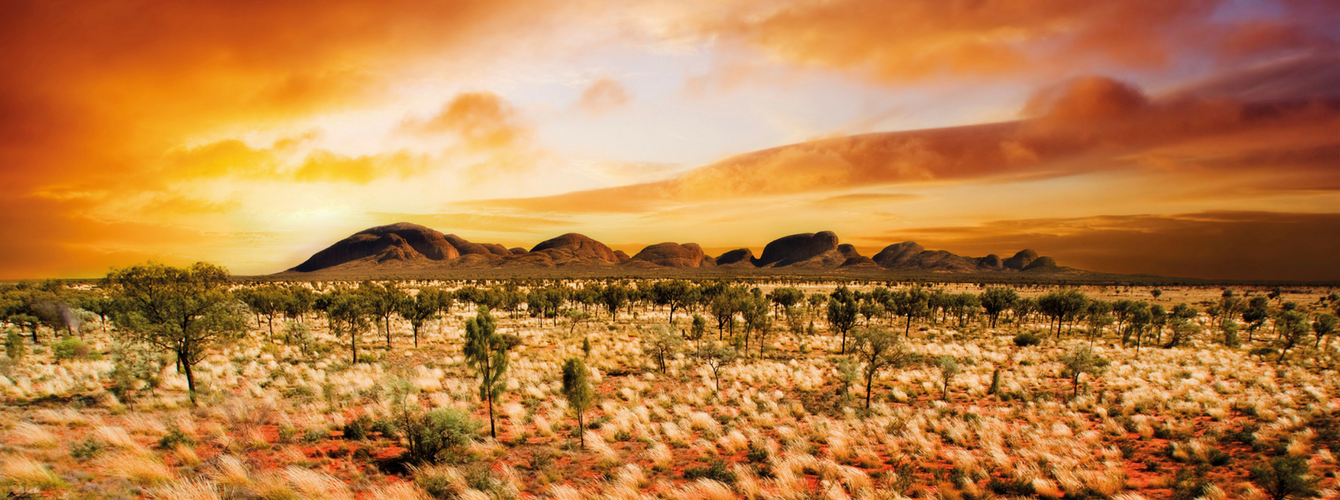 Dreamtime Banner for Blog.png