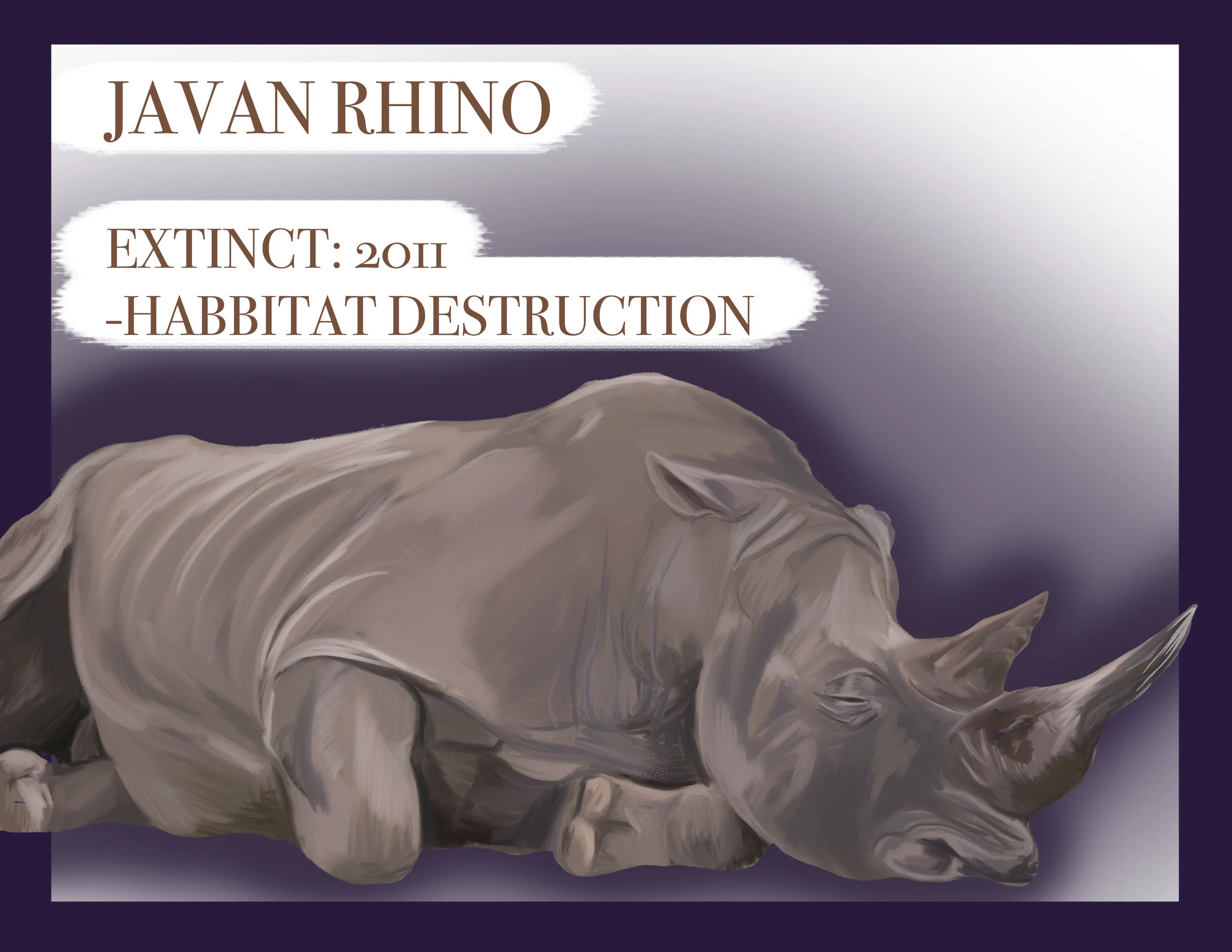 JAVANRHINO.jpg