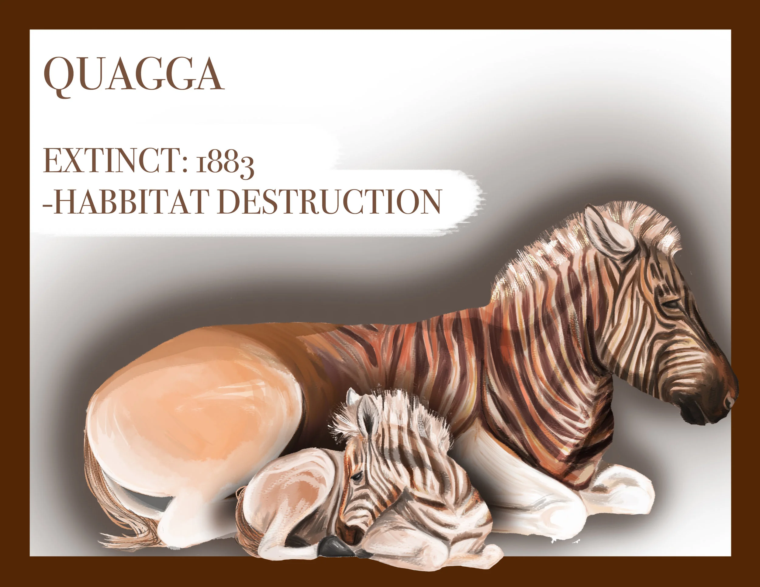 QUAGGA.jpg