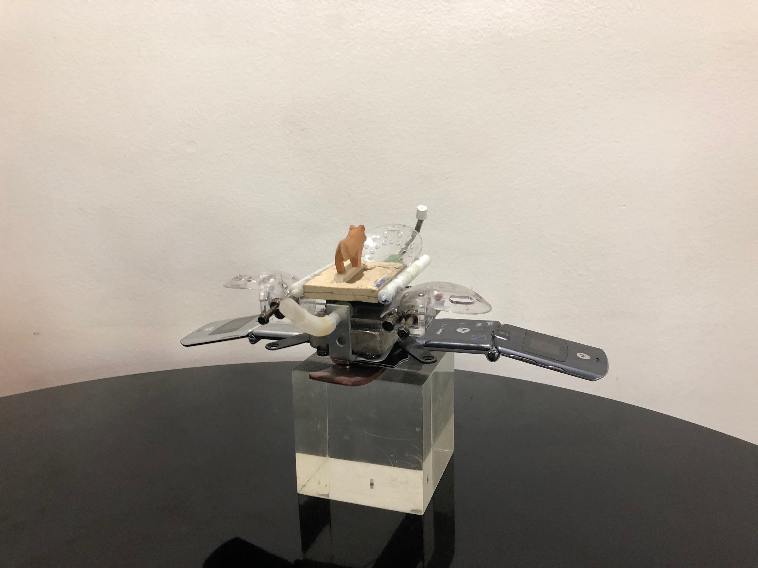IMG_6085.jpeg