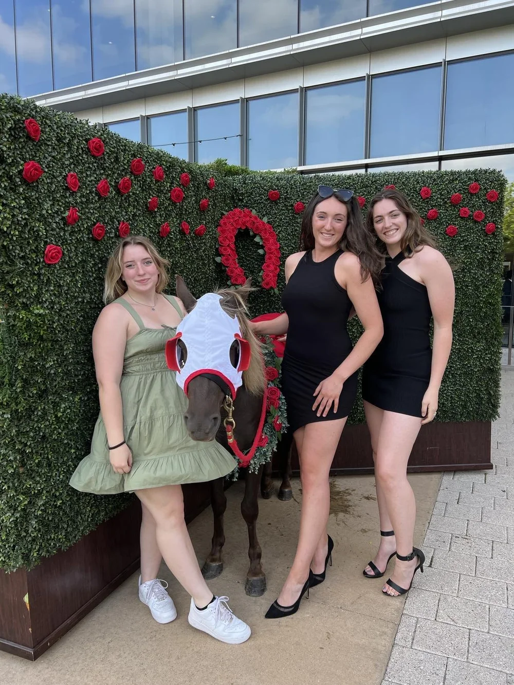 Single Animal rental — Air Ponies