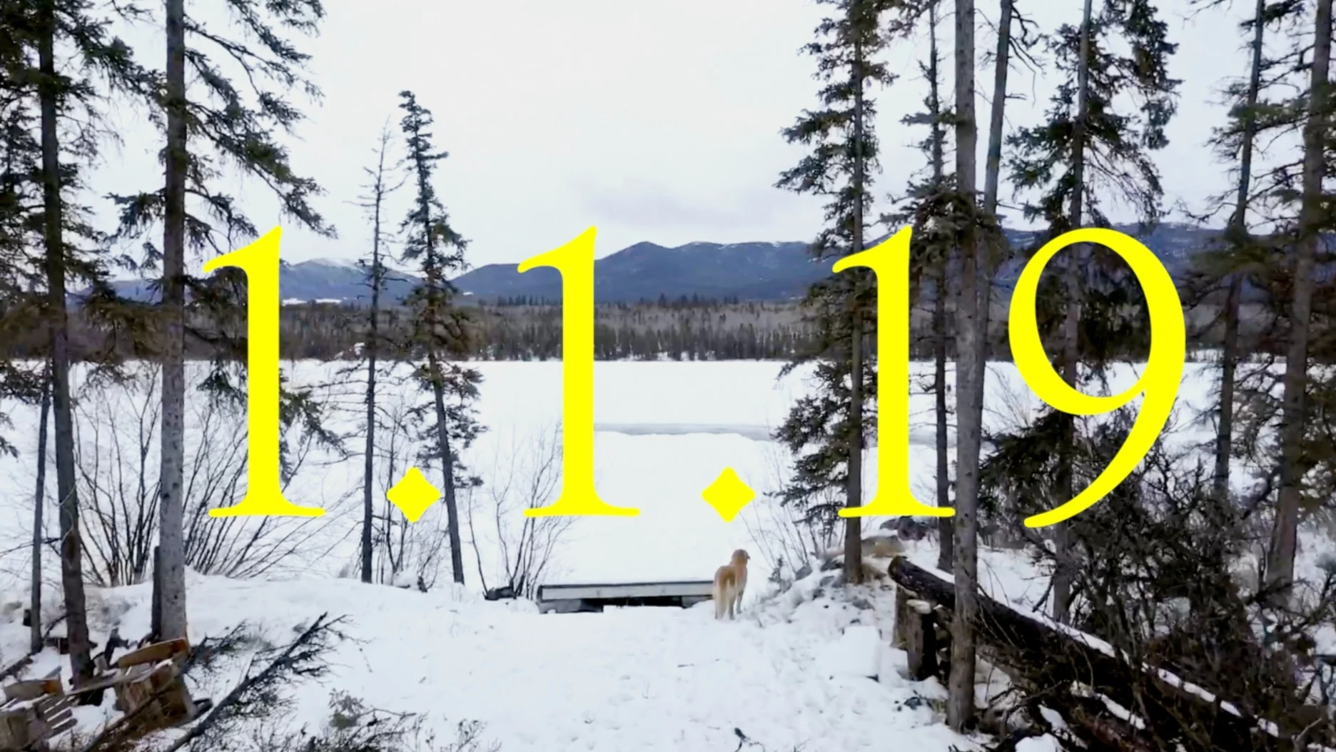 Screen Shot 2019-01-22 at 2.23.29 PM.png