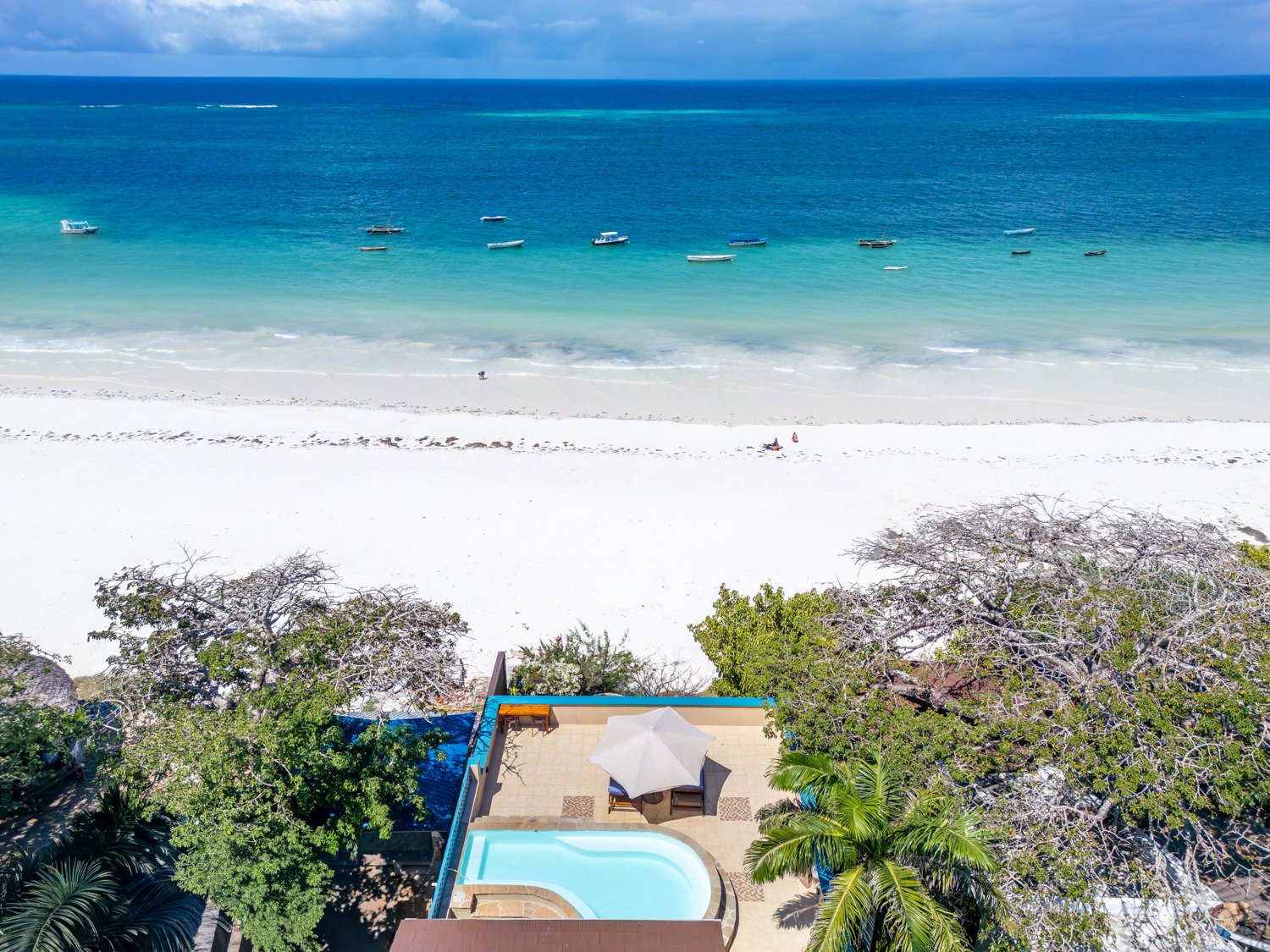 0008-Tequila Aerials 2026-DJI_0220.jpg