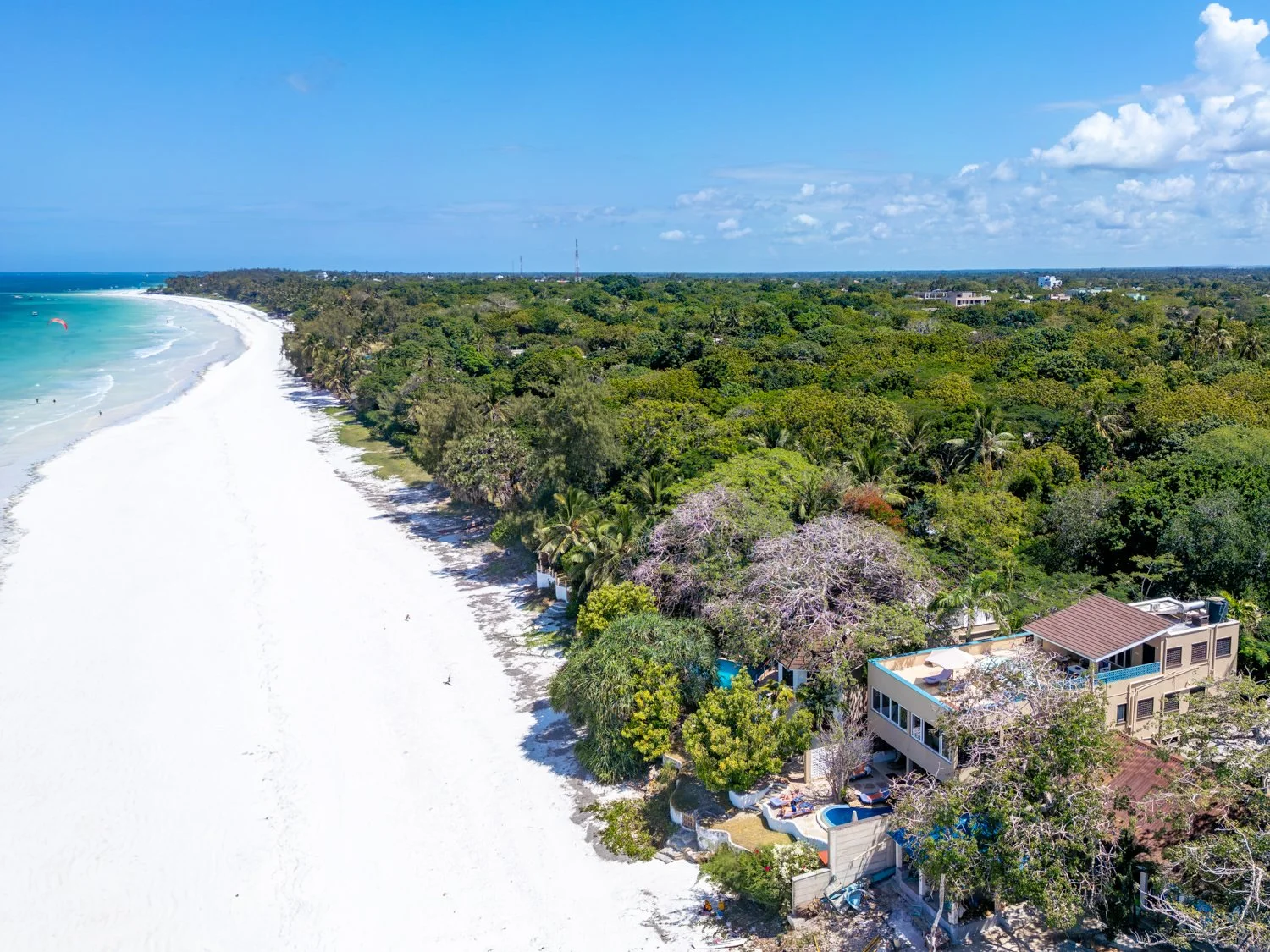 0005-Tequila Aerials 2026-DJI_0215.jpg