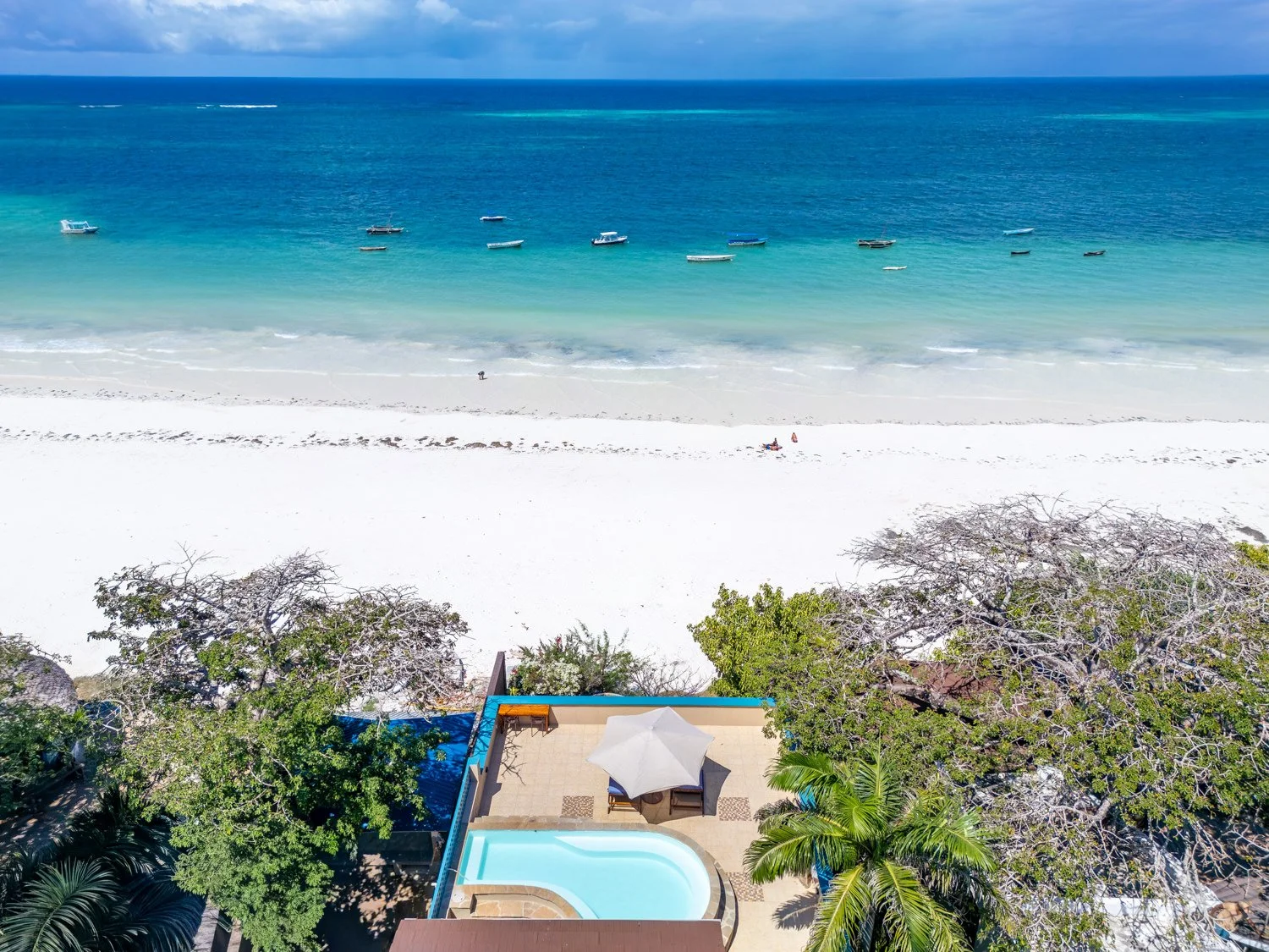 0008-Tequila Aerials 2026-DJI_0220.jpg