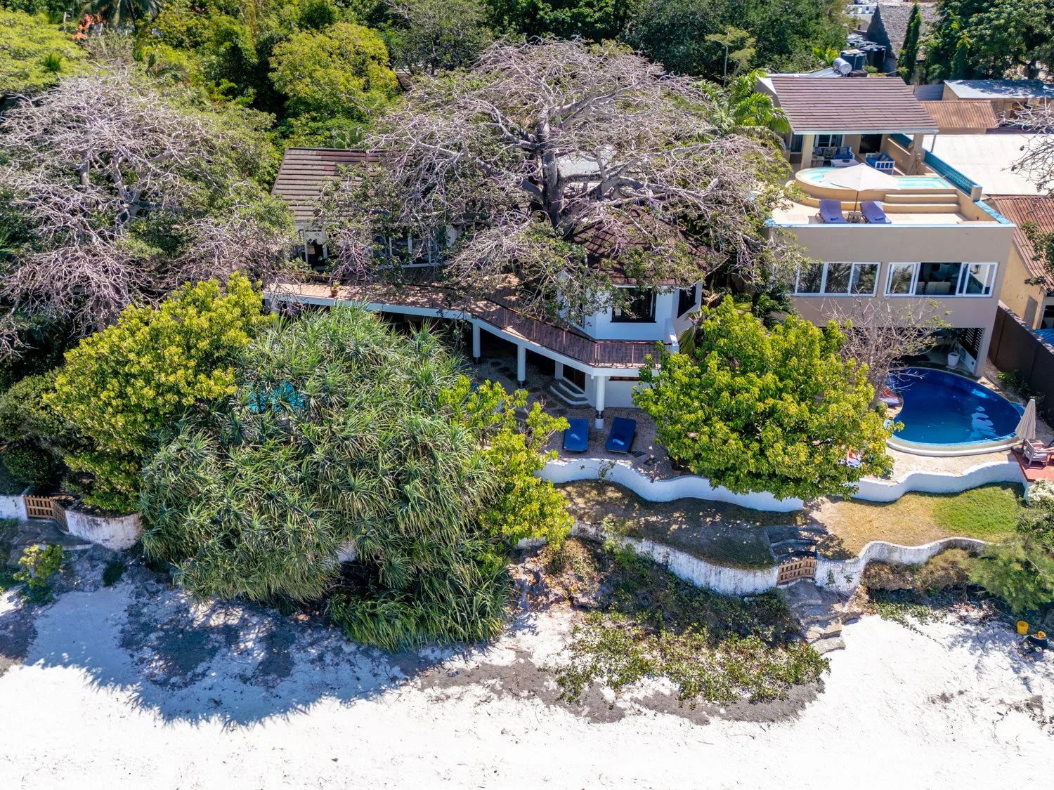 0011-Tequila Aerials 2026-DJI_0226.jpg